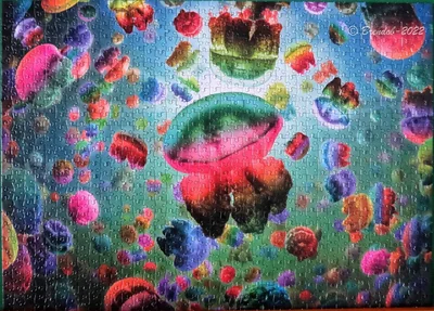 Jellyfish