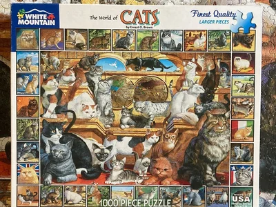The World of Cats