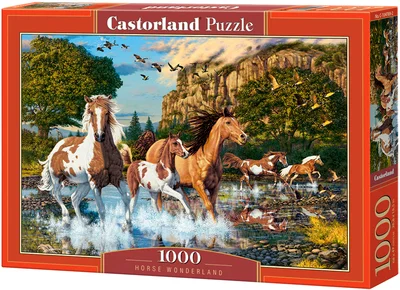 Horse wonderland