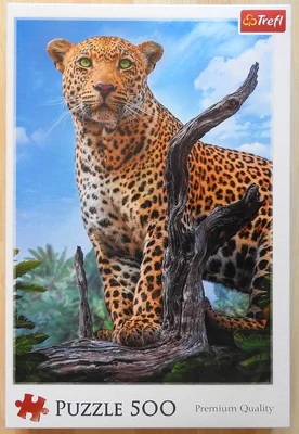 Wild Leopard