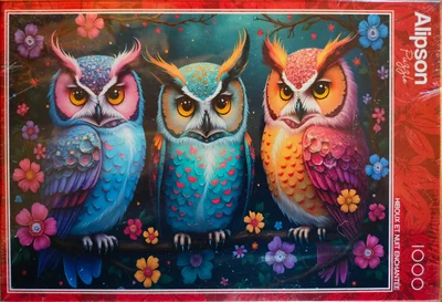 Hiboux Et Nuit Enchantée