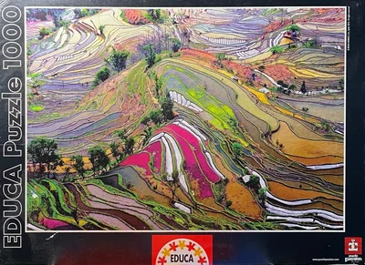 Rice paddies, China