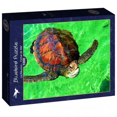 Tortue de Mer