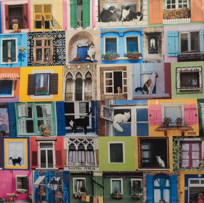 Windows