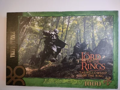 The fellowship of the ring
