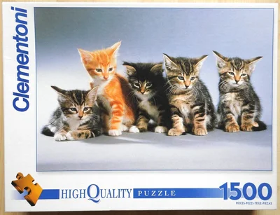 Kittens