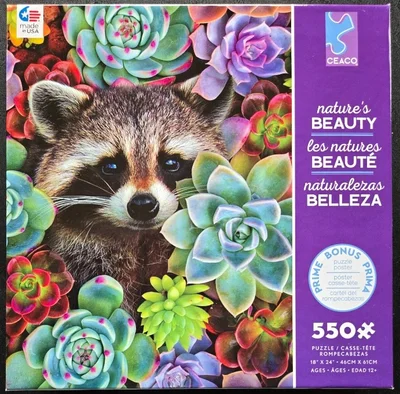 Raccoon