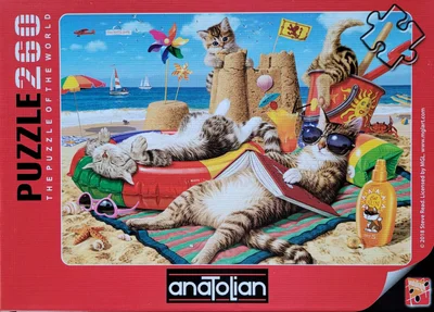 Cats on the Beach