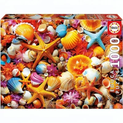 Collage de coquillages