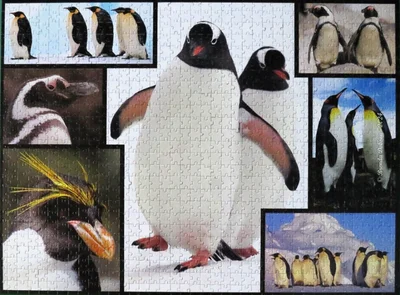Penguins