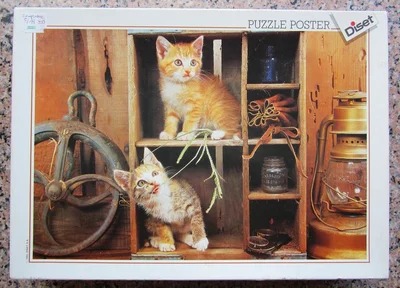 Kittens