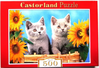 Grey Kittens with sunflowers