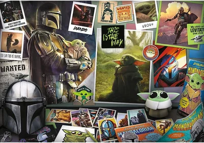 Star Wars the Mandalorian