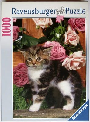 Little Charmer
