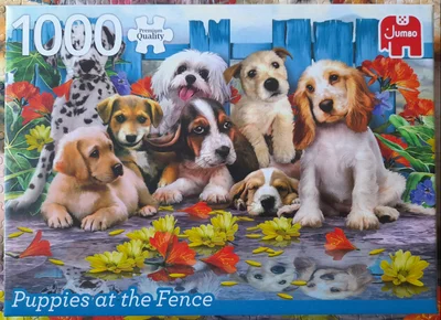 Puppies at the Fence