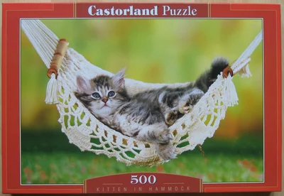 Kitten in Hammock