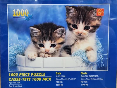 Cats