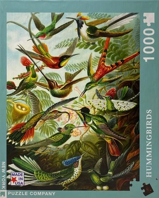 Hummingbirds