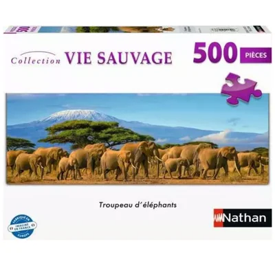 Troupeau d’éléphants