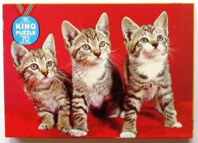 3 Kittens
