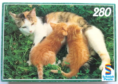 Katze mit Jungem
