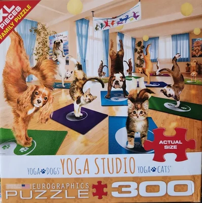 Yoga Studio