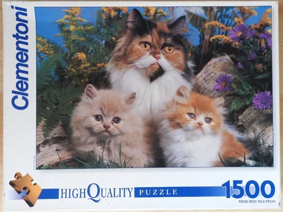 Persian Cats