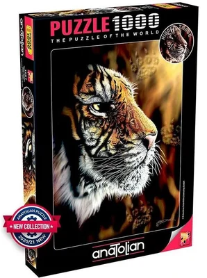 Wild Tiger