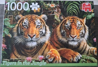 Tigers in the jungle