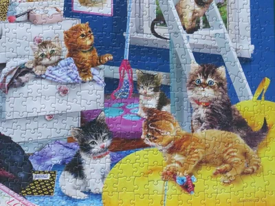 Kitten Slumber Party