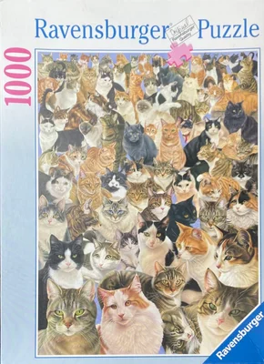 Cats Galore!