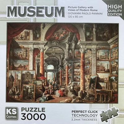 Picture Gallery with Views of Modern Rome