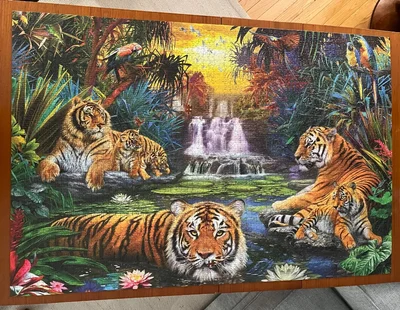 Tigers at the Waterhole
