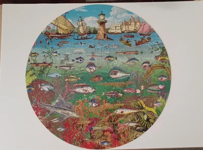 Fish & Boats