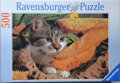 Katze im Herbstwald
