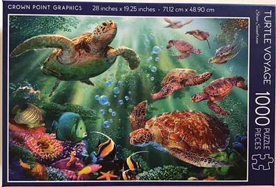 Turtle Voyage