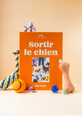 n°25 - Sortir le chien