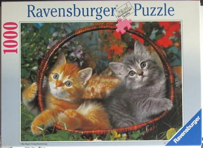 Zwei Kätzchen im Korb