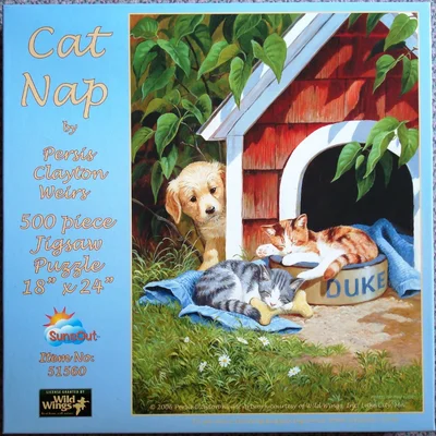 Cat Nap