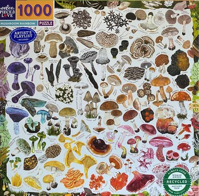 Mushroom Rainbow
