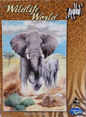 Elephant & Calf
