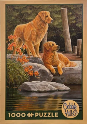 Companions