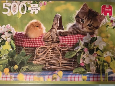 Ready for a picnic