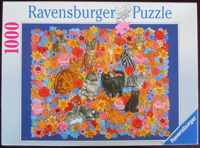 Katzen im Blumenmeer
