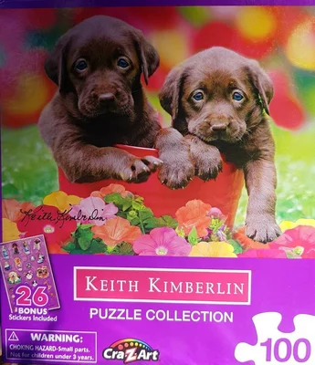 Chocolate Pups