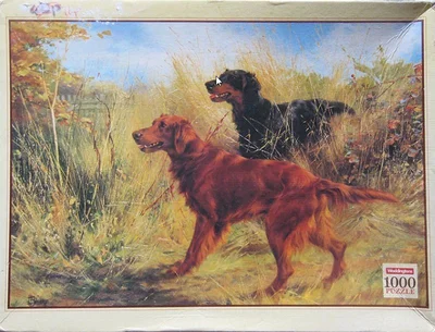 Irish and Gordon Setters