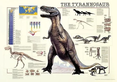 THE TIRANNOSAUR