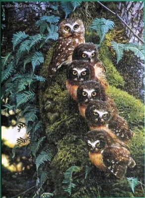 Family Tree