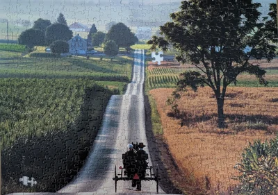 the Amish