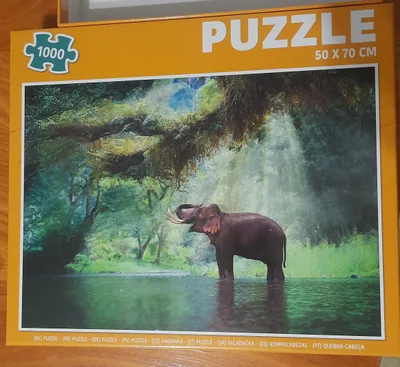 Éléphant